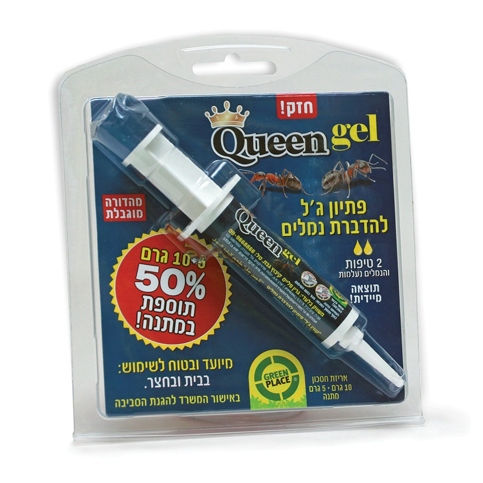 01 173blister 1x1