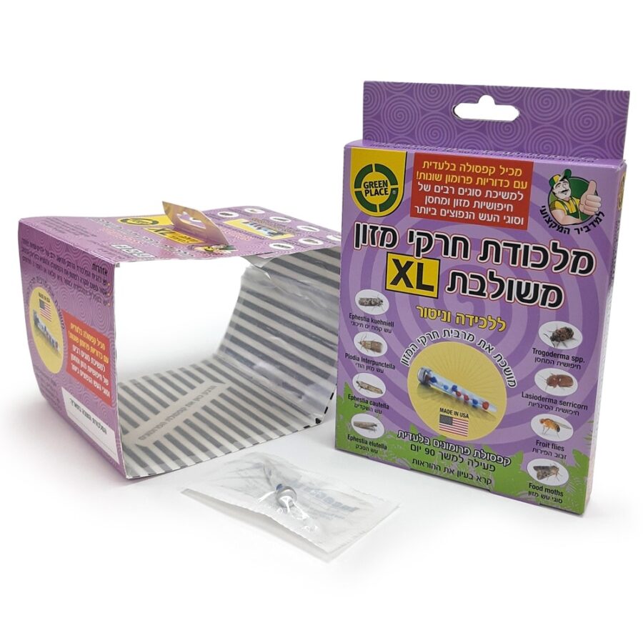 02 139professional 1x1