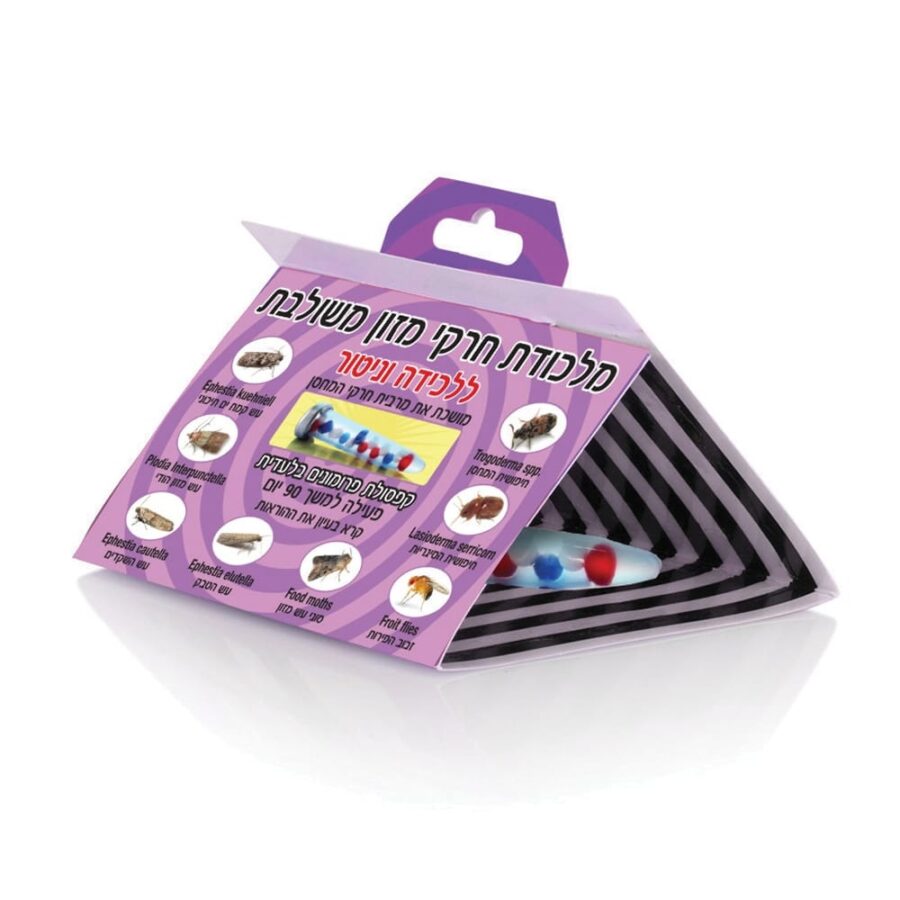 03 139professional 1x1