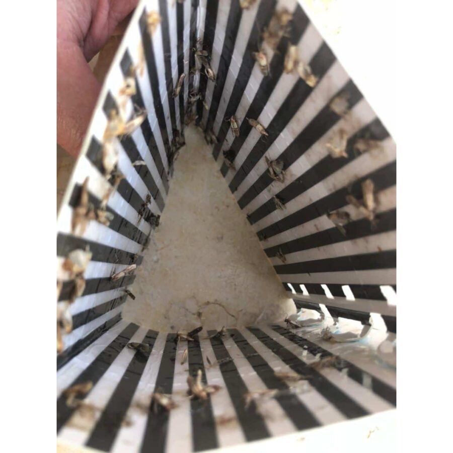 04 139a 1x1