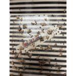 05 139professional 1x1